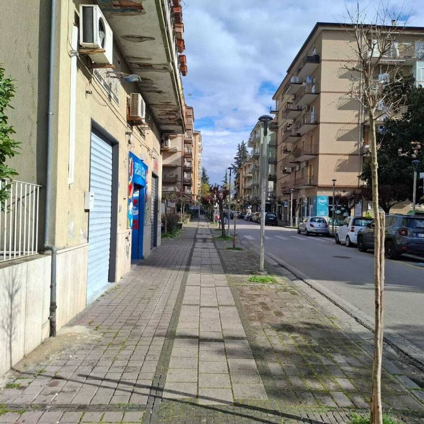 Bilocale ottimo stato, piano rialzato, Pontecagnano, Pontecagnano Faiano - Photo 1