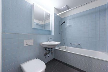 Quiet residential area near the University of Basel - Photo 2