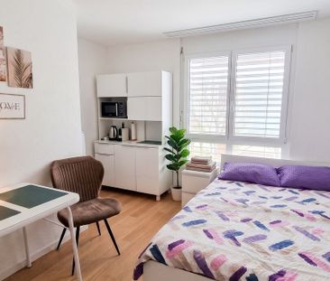 STUDIO IN LANGWIESEN (ZH), FURNISHED, TEMPORARY - Photo 3