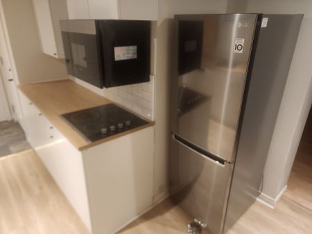 For Lease - 96 Glen Davis Crescent Unit# lower, Toronto, Ontario - Photo 5