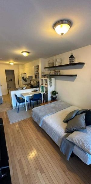 Studio - Montréal - $1,075 /mo - Photo 1