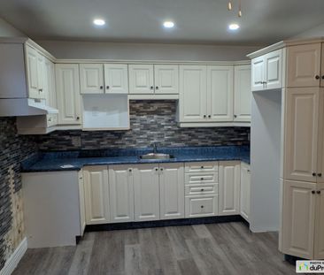 2458, GEORGES-V, Mercier / Hochelaga / Maisonneuve à louer - Photo 4