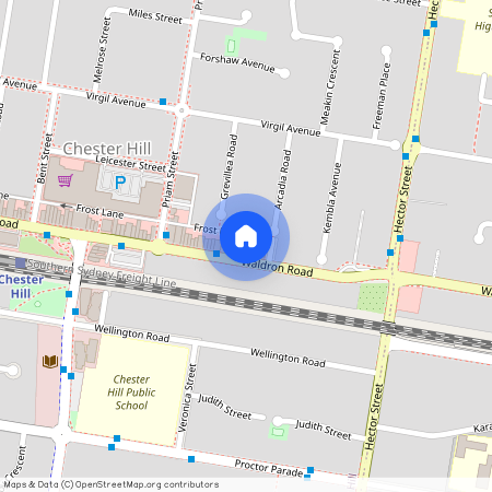 88A Waldron Road, NSW 2162, Chester Hill