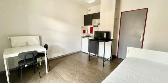 Location Appartement 1 pièce 18m² LIMONEST 69760 - Photo 2
