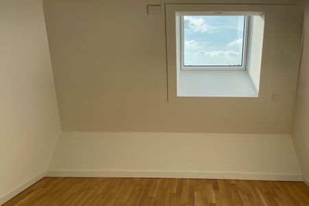 Maisonette-Wohnung zum Erstbezug - Foto 3