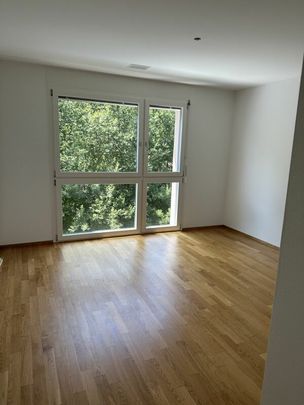 Moderner Wohntraum zentral in Laufen - Foto 1