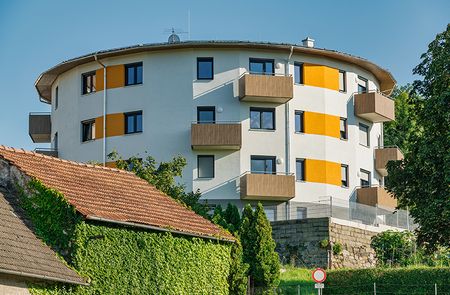 Junges Wohnen in Hoheneich - Foto 4