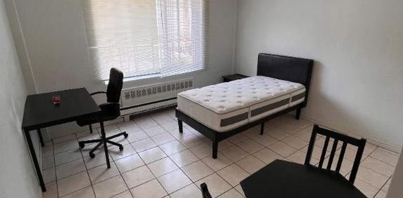 NEAR MCGILL U, GORGEOUS AND RENOVATED 1½ (pateau Mont Royal) - Photo 2
