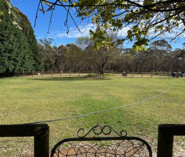 Large home with land and paddocks - Photo 1