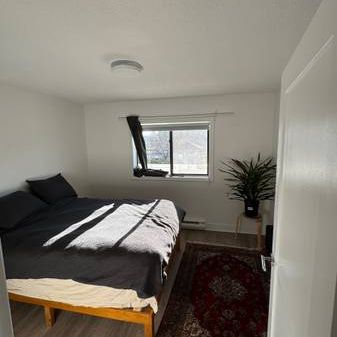 1 Bedroom 1 Bath - 5 month Sublet With Option To Extend - Photo 1