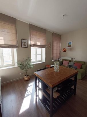 Location Appartement 3 pièces Meublé 56m² NANCY 54000 - Photo 1