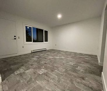 ►►► NEWLY RENOVATED MODERN, CHIC & COOL 1 BDRM...... - Photo 3