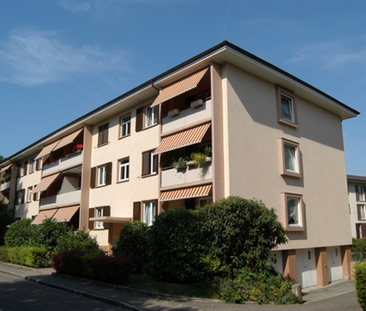 Wohnen in ruhiger Lage in Allschwil - Photo 1