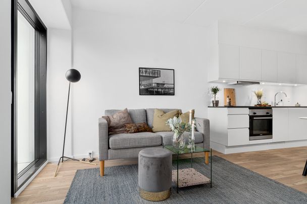 MODERNE LEJLIGHEDER I BÆREDYGTIGE RAMMER - Foto 1