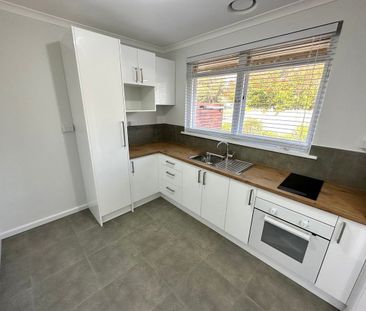 Renovated Unit - Photo 3