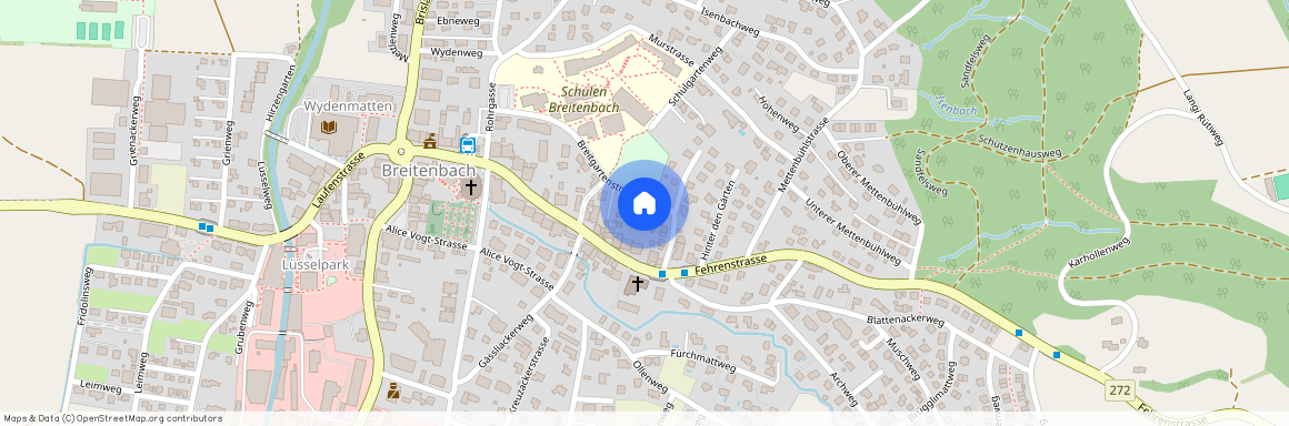 Breitgartenstrasse 16, 4226 Breitenbach, Schweiz