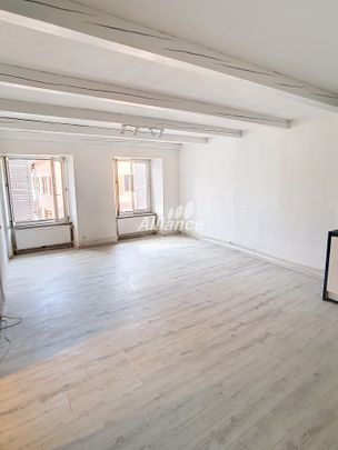 Location Appartement 3 pièces 69m² DELLE 90100 - Photo 1