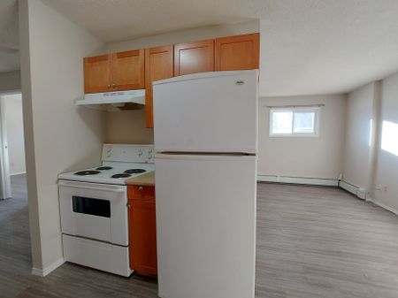 1 Bedroom Unit in Mature Area of Downtown! - Photo 4