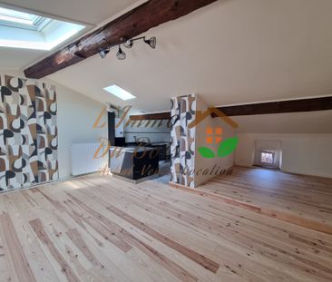 Location Appartement 3 pièces 67m² VIENNE 38200 - Photo 6