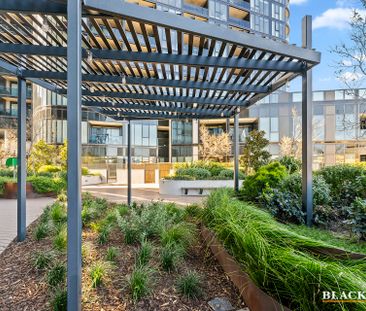 1403/3 Grazier Lane, Belconnen ACT 2617 - Apartment For Rent | Domain - Photo 5