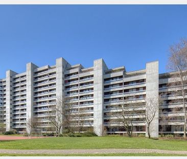 "Herrliche Aussichten" - Photo 1