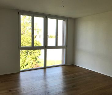 3.5 Zimmer, EG - Photo 3