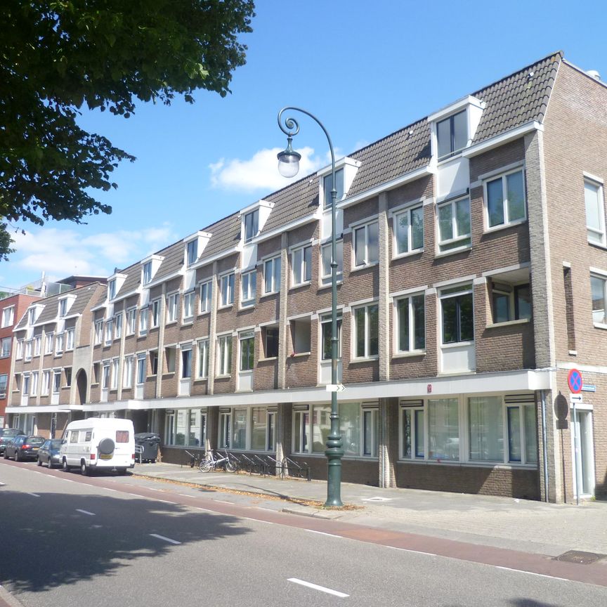 Te huur een leuke studio op een toplocatie aan de Wittevrouwensingel te Utrecht - Foto 1