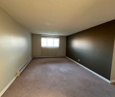 Spacious 2 Bedroom Cat Friendly Suite in Clearview! - Photo 1