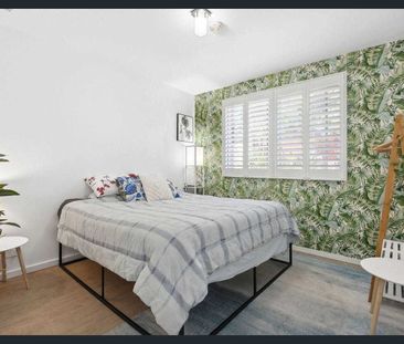 Beautifully renovated ground floor apartment in the heart of Dee Why - Photo 2