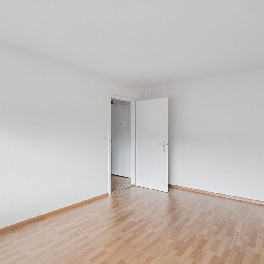 Move in now – recently renovated apartment quiet, green and central - Photo 1