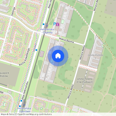 Maksa Bauma 3A, Łódź, Widzew, Olechów-Janów