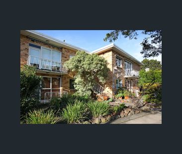 9/48 Cromwell Rd, South Yarra, Vic 3141 - Photo 4