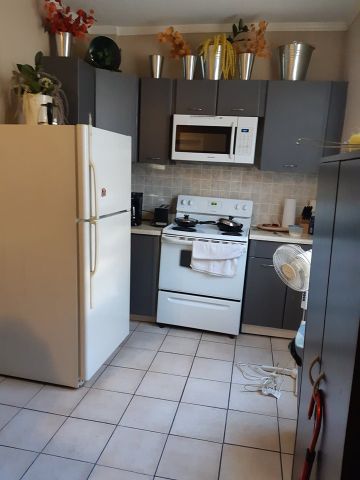 81 Malborough Room for Rent - Photo 4