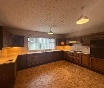 163 Cloughwater Road, Clough, BT44 9QH - Photo 6