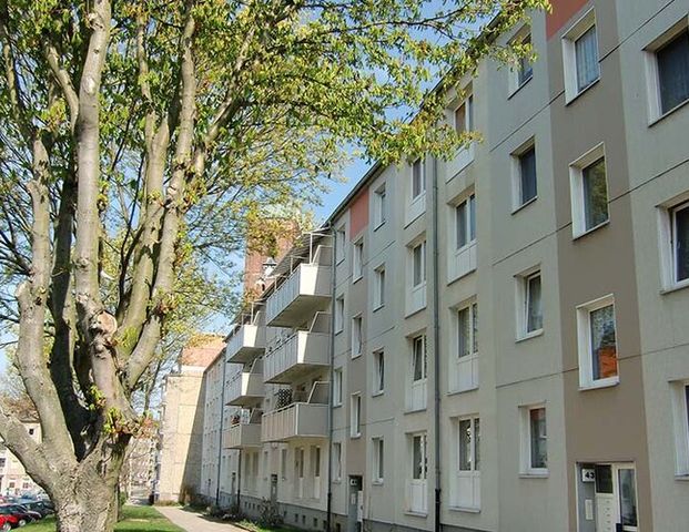 3-Zimmer-Wohnung zwischen See und City - Foto 1