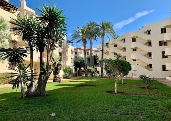 Alicante, Valencian Community 03700