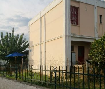 Μονοκατοικία για ενοικίαση Κεραμιδάκι (Κόρινθος) - Photo 5