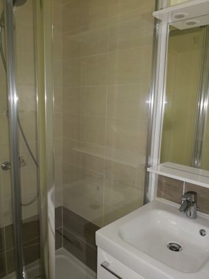 Location Appartement 1 pièce 24m² DIJON 21000 - Photo 1