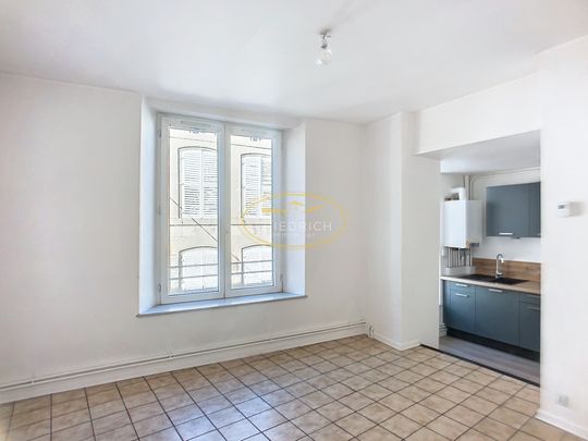 Location Appartement 2 pièces 44m² ST MIHIEL 55300 - Photo 1