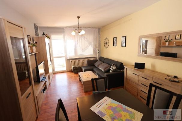 Mieszkanie Opole ZWM powierzchnia 48.0 m² C274-WM-50660 - Zdjęcie 1