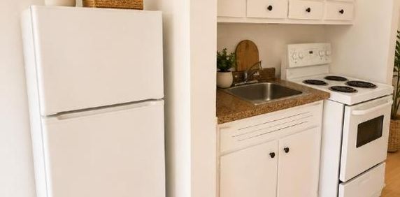 1 CH - 1 SDB - Montréal - $1,395 /mo - Photo 2