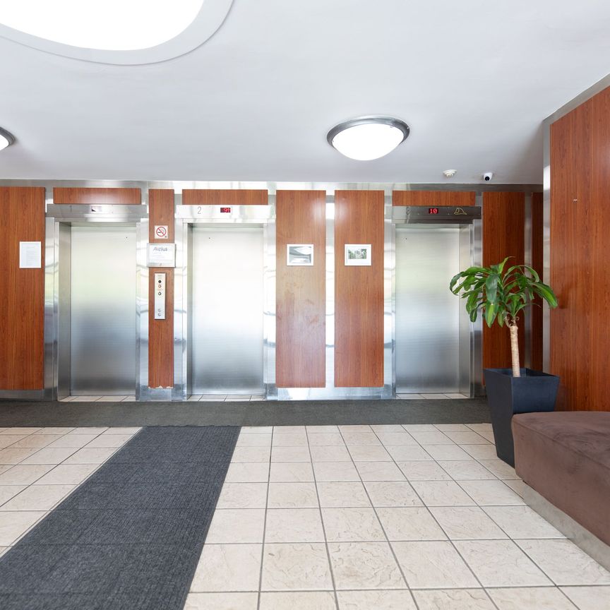 230 Oak Street - Photo 1