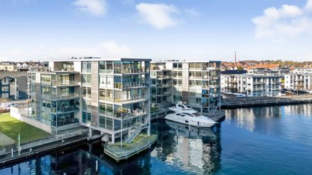 Nyborg Havnefront lejlighed med 58 m2 stor terrasse - Photo 3