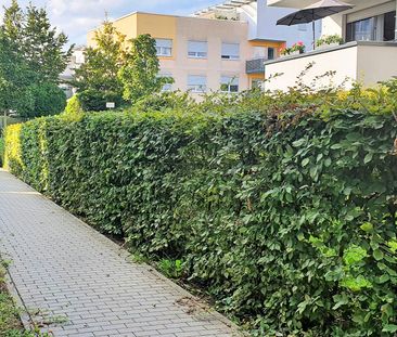 Tolle 2,5-Zimmer-Wohnung im Neubau mit Balkon - Photo 2