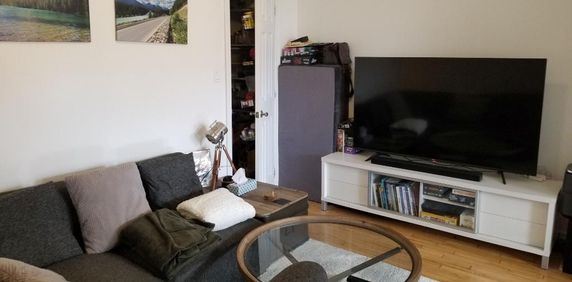 Beau logement 4½ rénové récemment, dans Rosemont-La-Petite-Patrie, près de la piste cyclable et du Plateau Mont-Royal - Photo 2