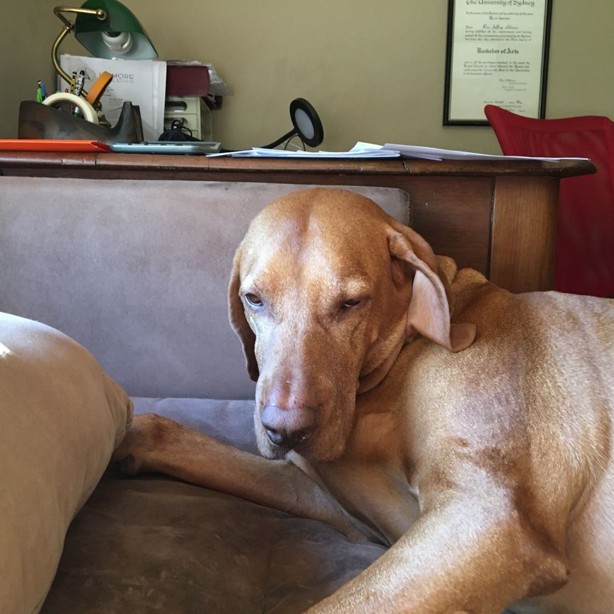 Goonellabah - Photo 1