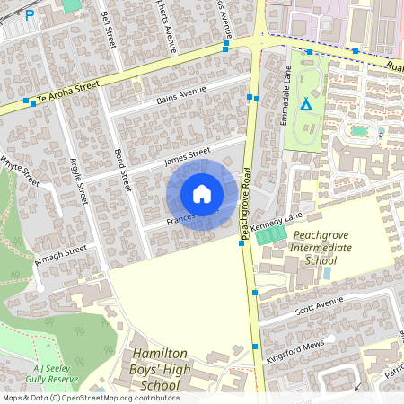 11 Frances Street, Hamilton East, Hamilton City