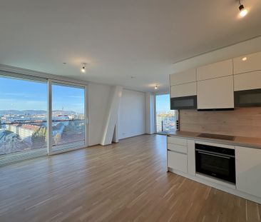 TOP-Ausblick: City mit Stephansdom, Donaukanal, Prater. Concierge, ... - Photo 5