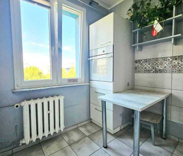 3. pokoje w centrum Polic na wynajem od zaraz! (438778) - Фото 5