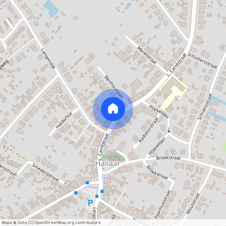 L. Carréstraat 29 A / 8, 2220 Hallaar